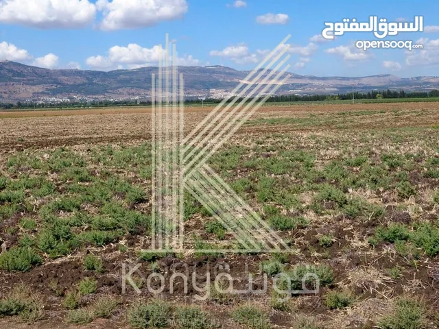 Farm Land for Sale in Jerash Tal Al-Rumman