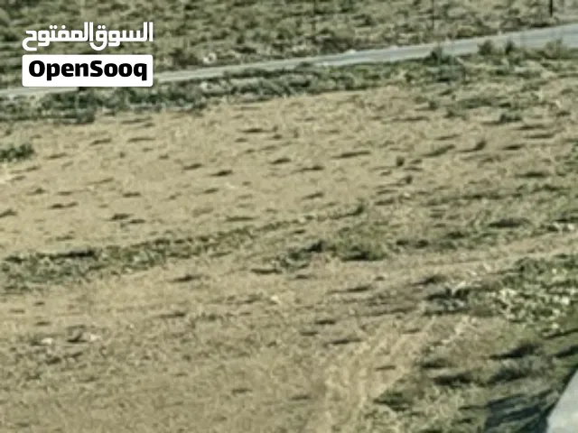 دونمً مفروز قرية الزعتري