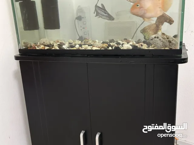 حوض سمك  مع خزانة لون اسود  بحالة ممتازه للبيع