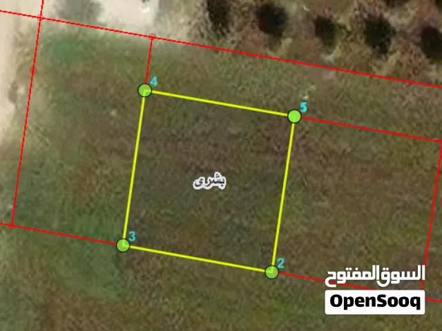Residential Land for Sale in Irbid Bushra