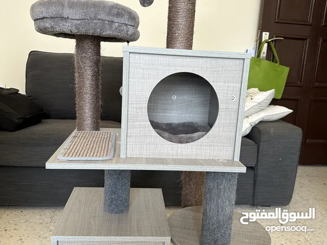 منزل للقطط