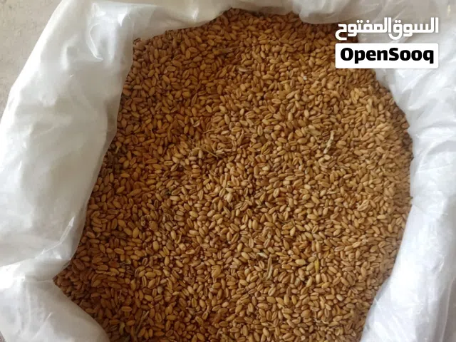 بر عماني انتاج ولاية منح لعويجا