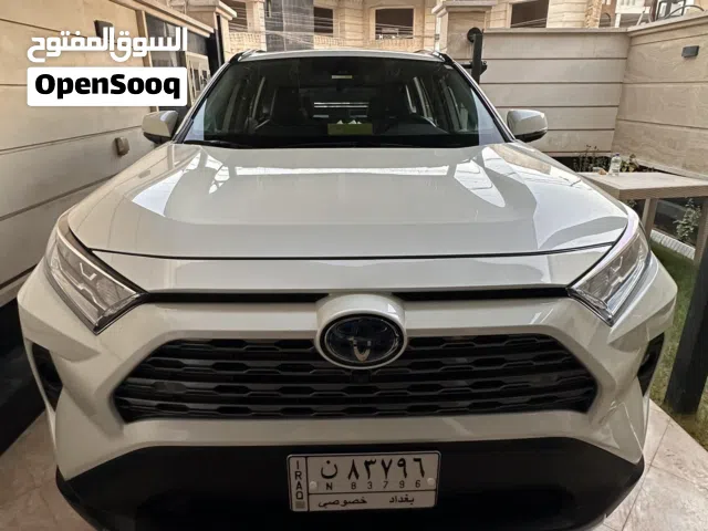 رافور امريكي هايبرد 2020