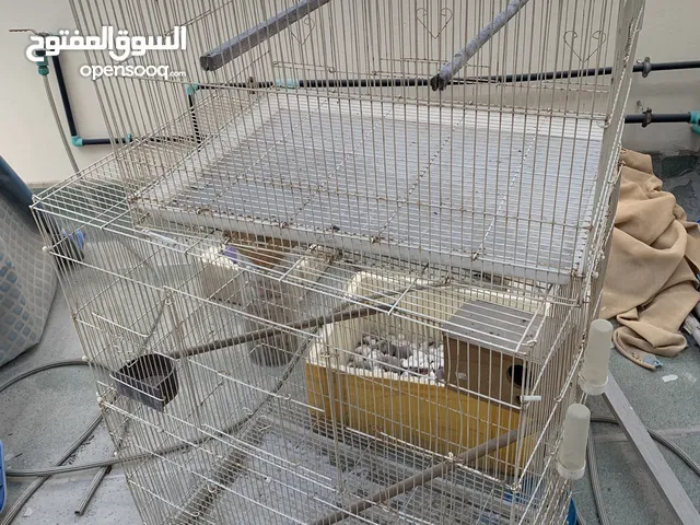 أقفاص للبيع القفص الأول حجم وسط و الثاني حجم وسط بس مفتوحين علا بعض الآول ب 4 و الثاني ب 8