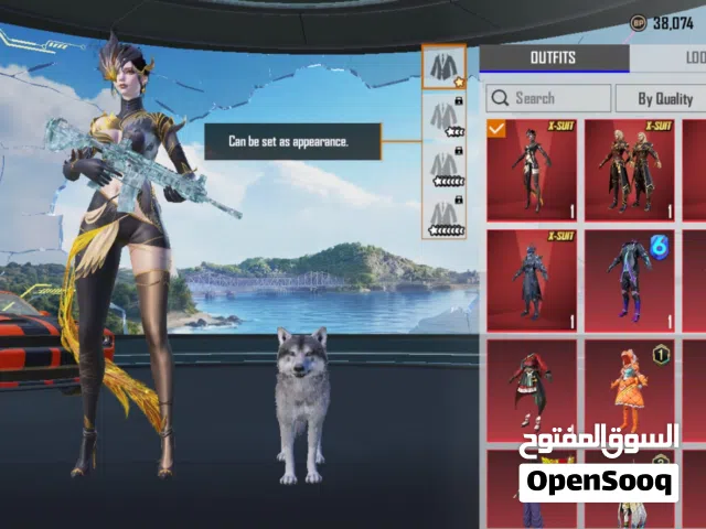 Pubg Accounts and Characters for Sale in Muharraq