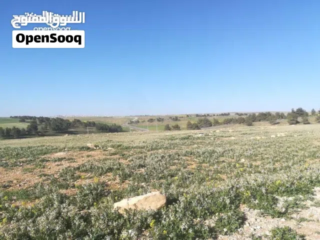 Farm Land for Sale in Al Karak Ader