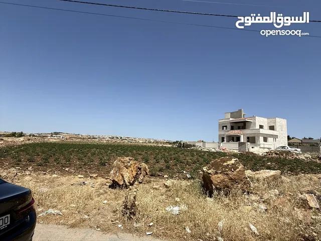 السلط/ السرو الجنوبي دونم 1