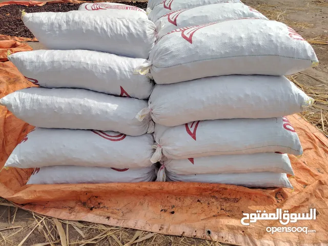 نفيعة 160 جونية للبيع انتاج هذه الايام