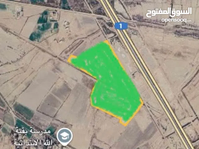 دوانم زراعية على الخط الدولي