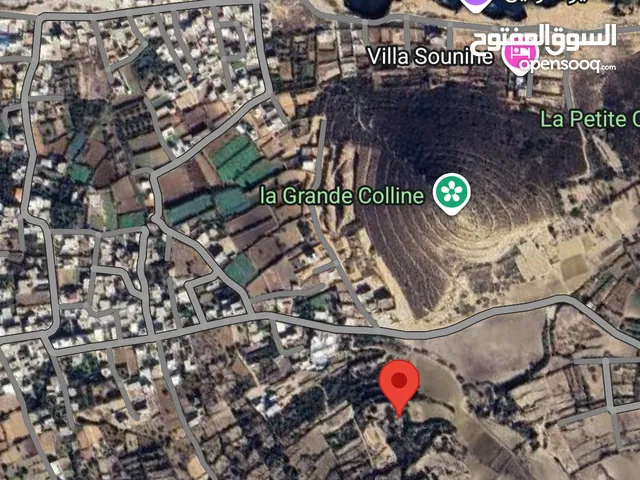 أرض فلاحية للبيع برفراف عين مستير صونين