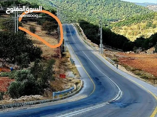 Residential Land for Sale in Ajloun E'in Jana