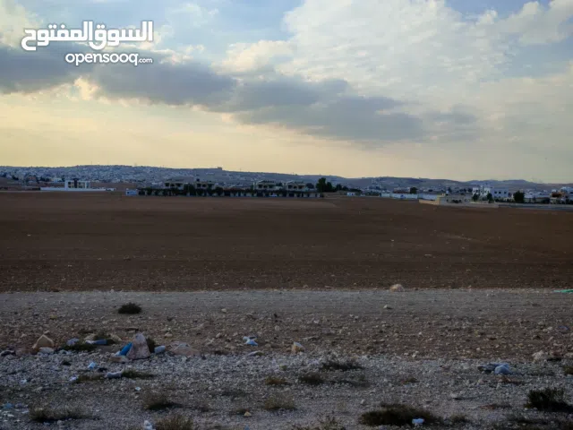 Farm Land for Sale in Amman Madonna