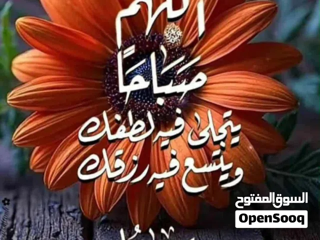 2018 سوزوكي التو GL