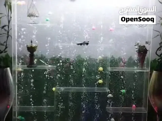 حوض سمك  او قاطع سمك