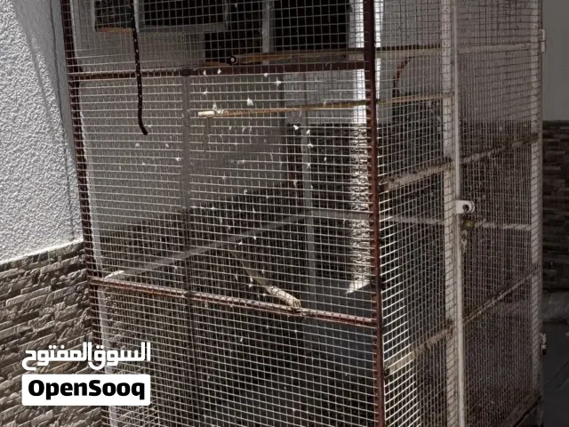 للبيع قفص للطيور