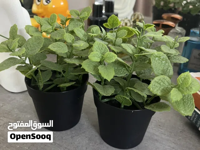 Artificial plants for desktop 2