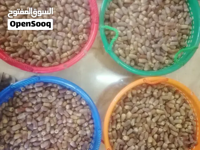 تمر نغال المحقب