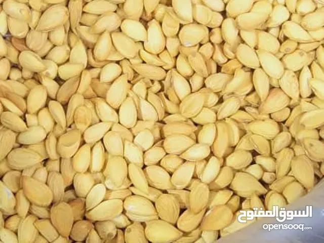 لوز بلدي درجه اولا