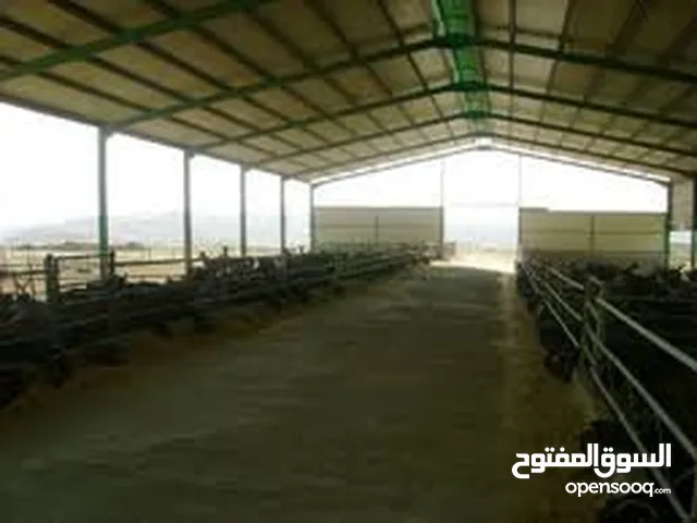 مخازن مساحه 500 متر ويوجد ساحه بالخارج واسعه ويوجد أيضا مساحه 2000متر مربع مسكره لتخزين ان طلب الامر