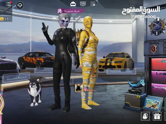 Pubg Accounts and Characters for Sale in Amman