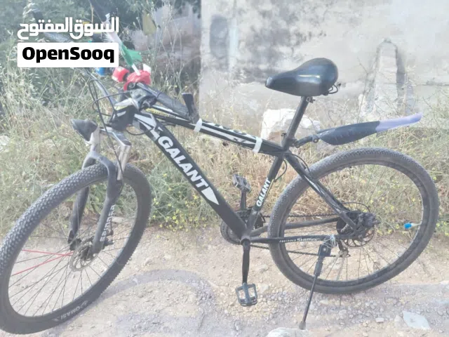 بسكليت قياس 29