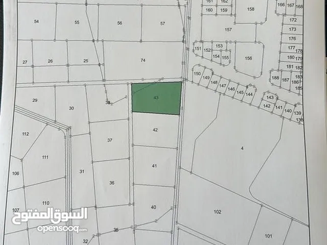 ارض مميزة على 3 شوارع خلف جامعة اربد الأهلية 4دونم و117متر مربع يمكن القسمة رضائيا دون خسارة اي متر