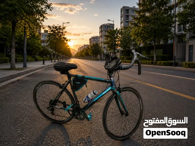 دراجة هوائية اصليه