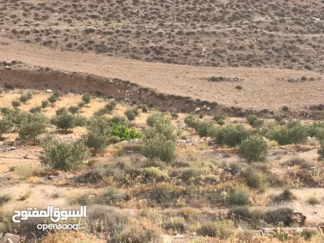 Farm Land for Sale in Al Karak Other