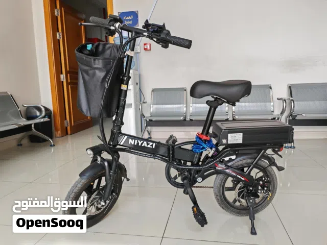 Electric bycicle