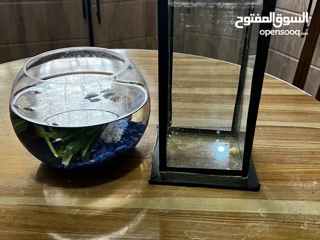 حوضين سمك للبدل على طيور او بيع