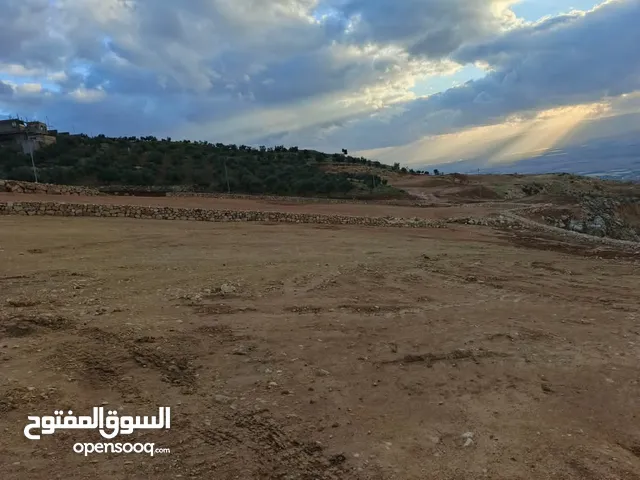 Farm Land for Sale in Salt Al Maghareeb