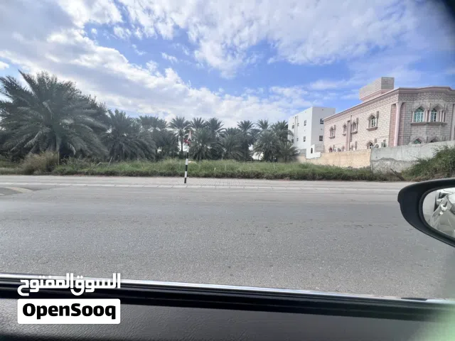 ارض  سكنية للاستثمار في المعبيلة الشمالية مقابل شارع العام