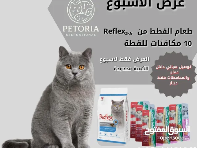 طعام قطط من ريفلكس