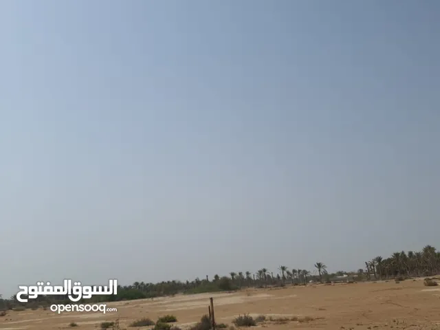 ارض للإيجار