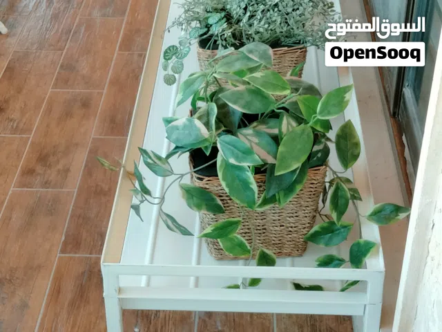 متفرقات من ايكيا وغير ايكيا وضعهم ممتاز