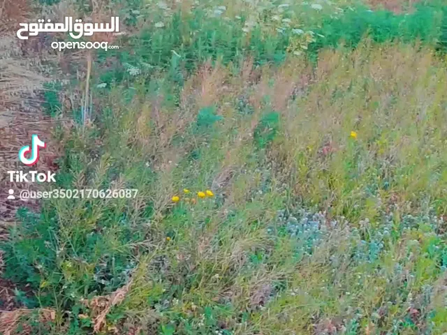 Mixed Use Land for Sale in Tulkarm Iktaba