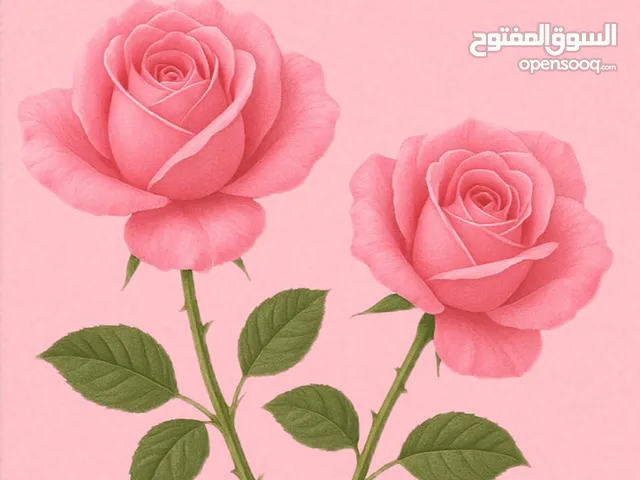 كتاب قصة مشوقة pdf جميل رائع مذهل يشعرك ب الحماس الشديد