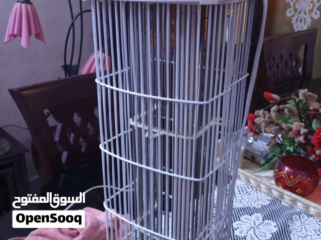 ناموسيه للبيع