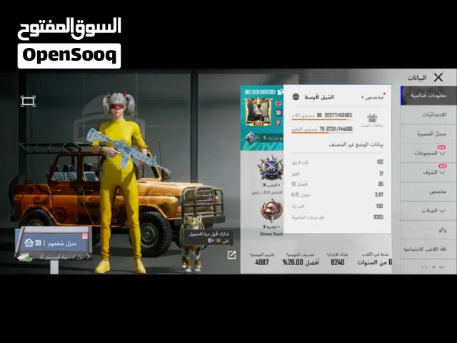 Pubg Accounts and Characters for Sale in Al Mahwit