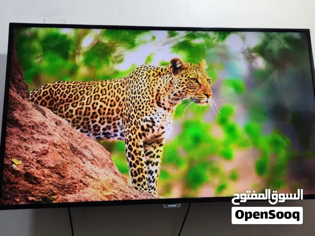 Philips LED 50 inch TV for sale not smart