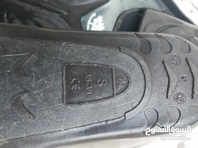 ريشيات بحر ريشيات كندية الغطس الحر