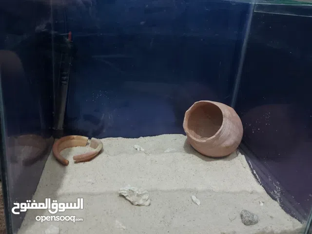 حوض سمك للبيع بسعر حرق مع مستلزماته كامله جاهز للاستخدام