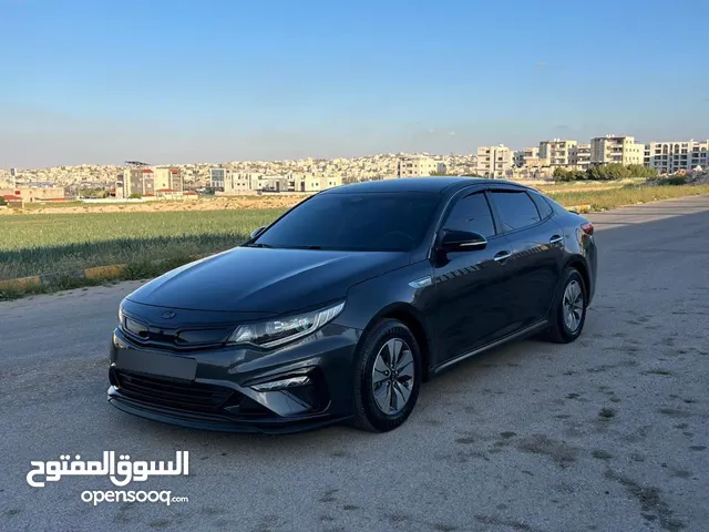 New Kia Optima in Irbid