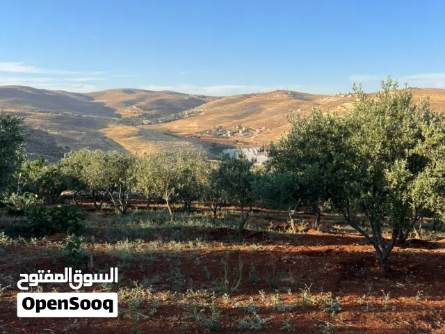 2 Bedrooms Farms for Sale in Jerash Unaybah