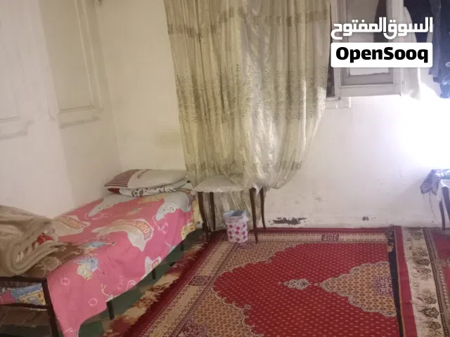 شقة استوديو مفروشة للايجار