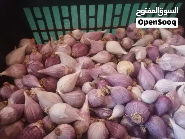 الثوم ذكر عماني
