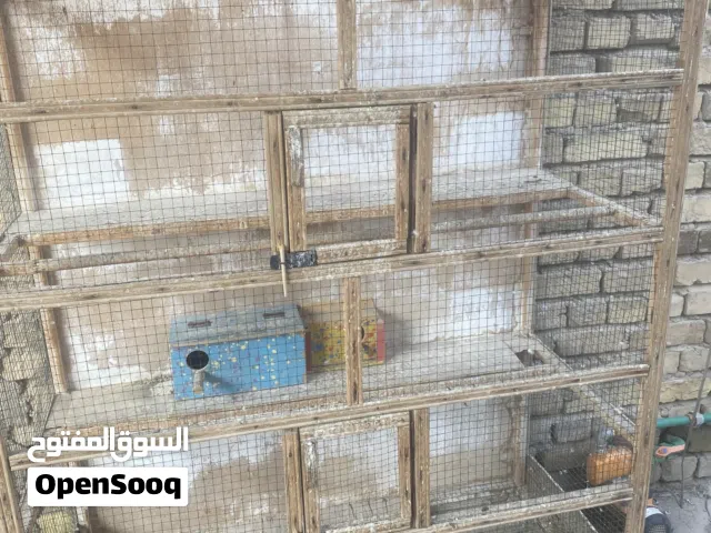 قفص طيور جبير وقفصين بلبل