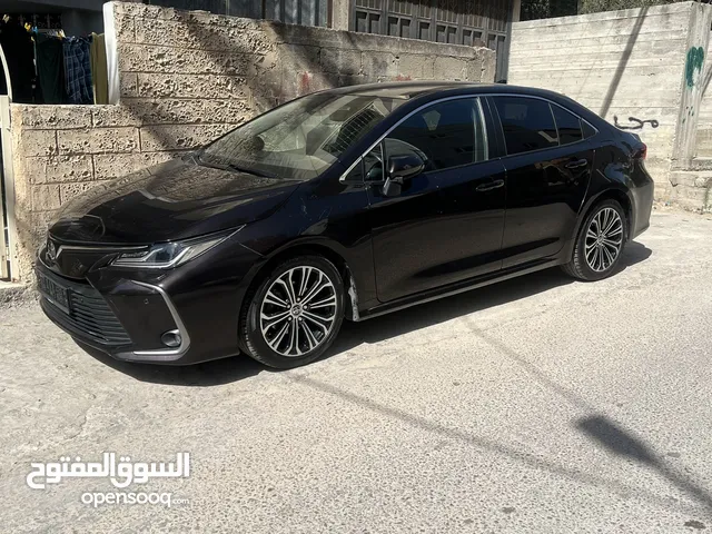 تيوتا كورولا 2019 تسيير 2021 طولكرم