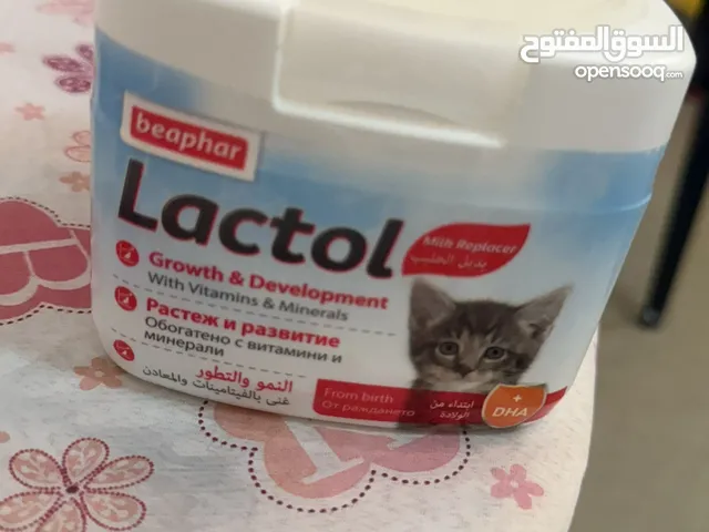 حليب للقطط الصغيره