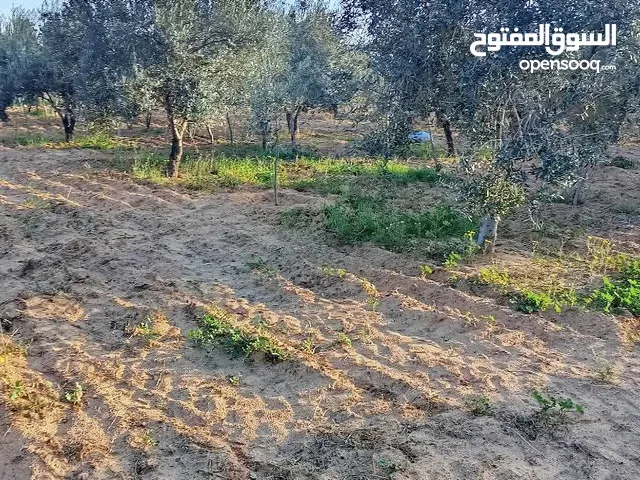 Mixed Use Land for Sale in Tunis Other